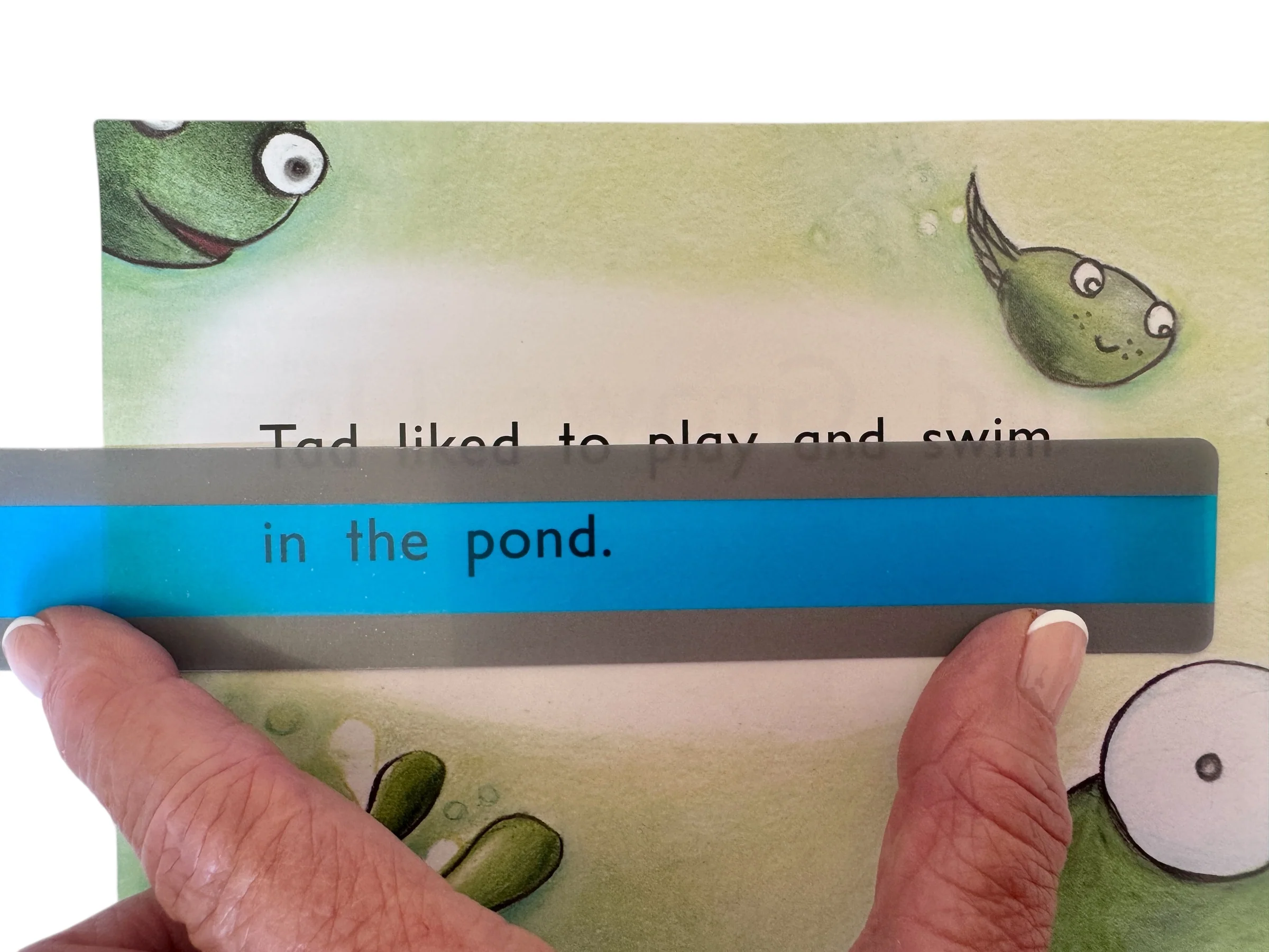 Coloured Reading Guide - Extra Wide - Image 3