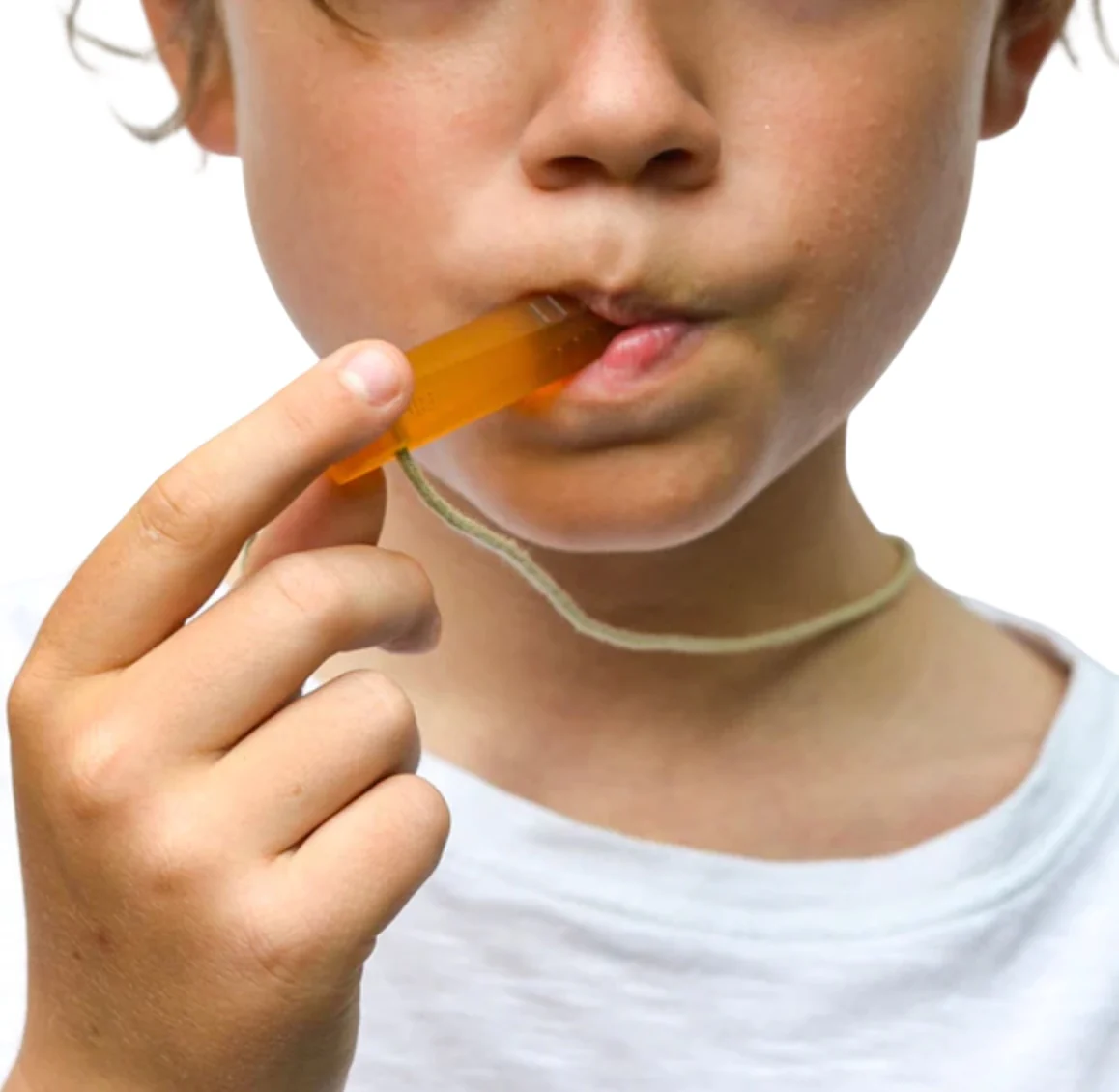 Santo Natural Rubber Chew - 2pk - Image 3